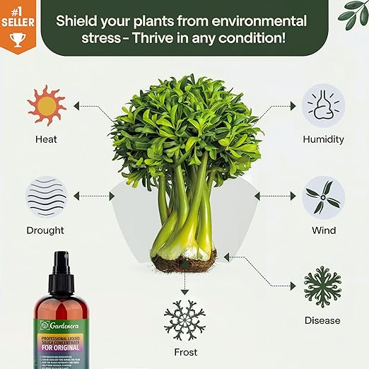 𝐒𝐔𝐏𝐄𝐑𝐈𝐎𝐑 Liquid Silica Boost Fertilizer and Supplement Spray for ZZ Plants – Pre-Mixed, Ready-to-Use Liquid Silicon Plant Superfood Mist for Indoor & Outdoor Plants – 8oz