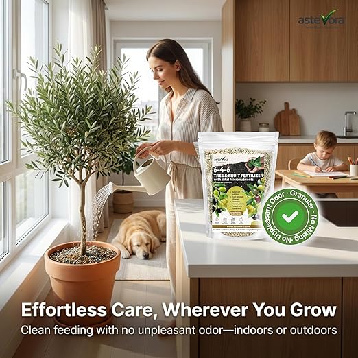 Olive Tree Fertilizer – Fruit Tree Fertilizer for Olive Tree, Citrus, Lemon, Lime, Fig, Avocado, Mango, Apple & Pomegranate – for Potted & Outdoor Trees (1/2 Quart - 1 lbs.)
