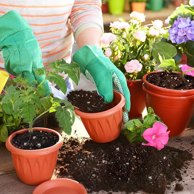 Horticultural Perlite for Plants 2qt, All Natural Horticultural Soil Additive Conditioner Mix, Improve Ventilation and Drainage, Enhance Soil Health and Root Growth