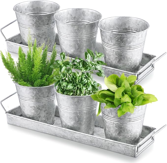 Wenqik 2 Sets Herb Garden Planter Pot Set with Tray Metal Windowsill Plant Pot with Drainage Farmhouse Decorative Live Herb Garden Kit for Home Kitchen Indoor Outdoor Apartment Balcony Window(Silver)