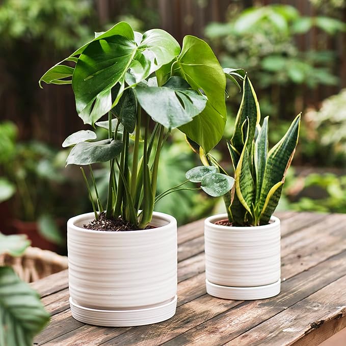 HERDUK 6 + 8 Inch Plant Pots, Ceramic Planter Pot with Drainage Hole & Saucer, Indoor/Outdoor Cylinder Round Planter Pot, Matte White