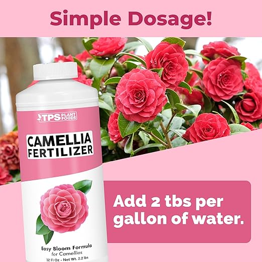 Camellia Fertilizer – Liquid Plant Food for More Blooms, Rich Green Leaves & Stronger Root Development, 32 oz
