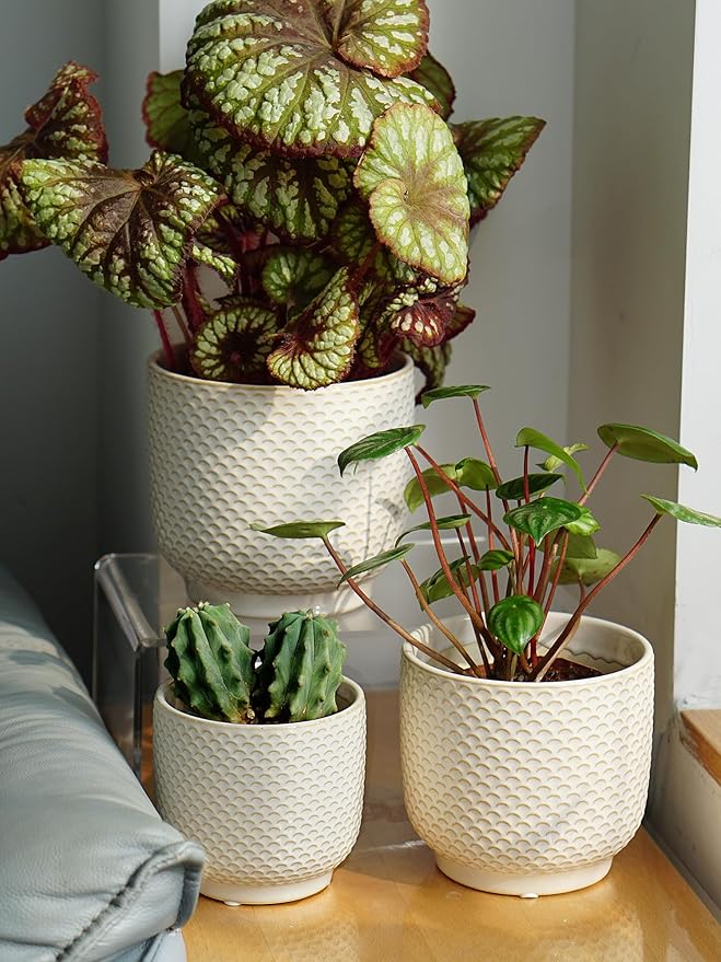 4 + 5 + 6 Inch Ceramic Pots for Indoor Plants, Succulents Plant Pots, Orchid Flower Pot with Drainage Hole, Modern Clay Stoneware Planters, Set of 3 (Milk White, 4+5+6 Inch)