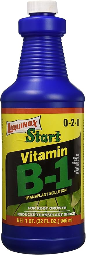 1 0-2-0 Vitamin B1 Start, 1 quart