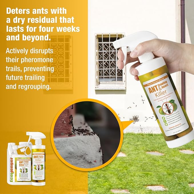EcoVenger® Ant and Insect Killer 64 oz | Citrus Scent | Fast Kills House Ants Fire Ants | Residual Deterrence | Treats Nest | Plant-Based Child and Pet Safe