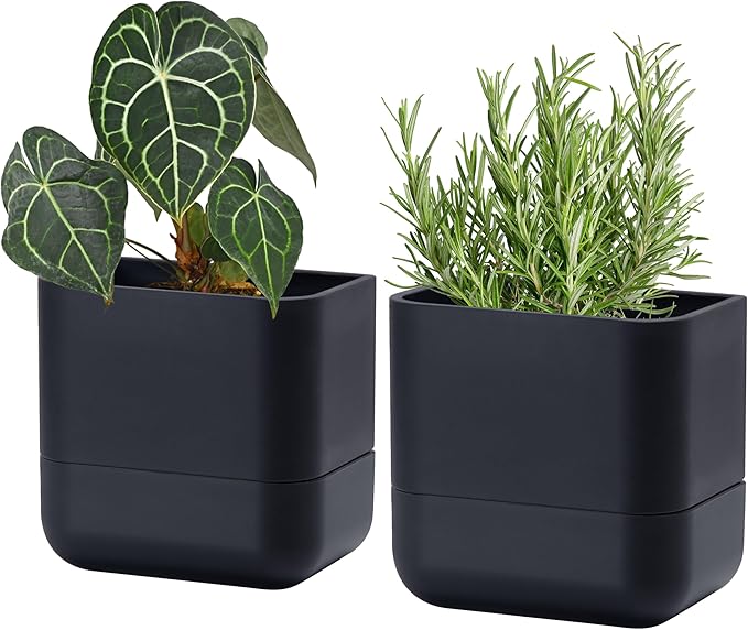 Phoenix Vine 6.5 Inch Wall Mounted Self-Watering Planter Pot for Indoor Houseplants and Herbs | Hanging Planter for Window Sills, Bathroom Walls, Home & Office Décor, Black, Set of 2, 01-C-E-2