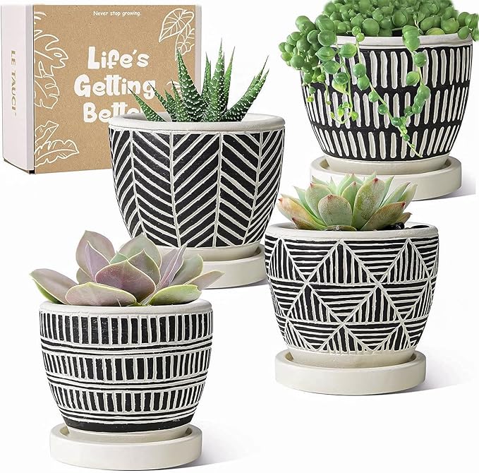 LE TAUCI 3 Inch Boho Succulent Pots, Artisanal Small Succulent Planters, Cement Small Plant Pots for Plants, Box for Mom, Women, Set of 4, Black and Cream White