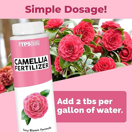 Camellia Fertilizer – Liquid Plant Food for More Blooms, Rich Green Leaves & Stronger Root Development, 8 oz
