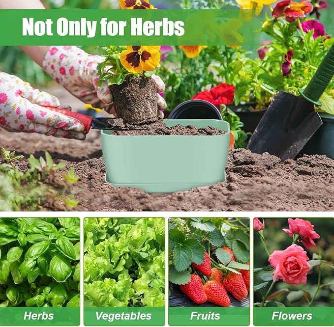 Oliz 6 Set Window Herb Planter Box Rectangular, Green Plastic Planters with Multiple Drainage Holes and Trays,Indoor Succulent Cactus Mint Flower Pot for Windowsill, Garden Balcony