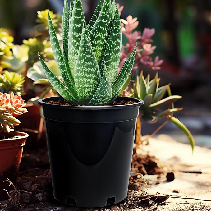 RooTrimmer 1.5 Gallon Plastic Nursery Pots, 7.5 Inch Round Plant Pots with Drainage Holes, 15 Pack Flower Pots for Outdoor Indoor Plants, Flowers, Gardening Gifts for Women, Black
