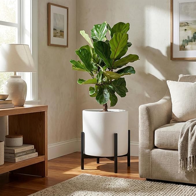 FaithLand 12 Inch Fiberstone Planter - Lightweight Modern Cylinder Plant Pot with Drainage Hole & Plug, Indoor Outdoor Use, Matte White