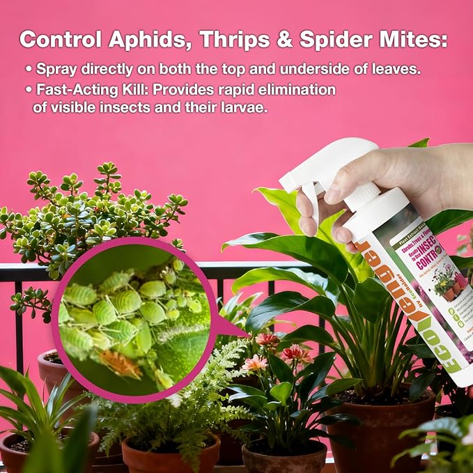 EcoVenger® Garden Insect Control 16 oz | Kills Aphids Armyworms Mealybugs Spider Mites Gnats and Eggs | Indoor Outdoor | Plant-Based Child and Pet Safe