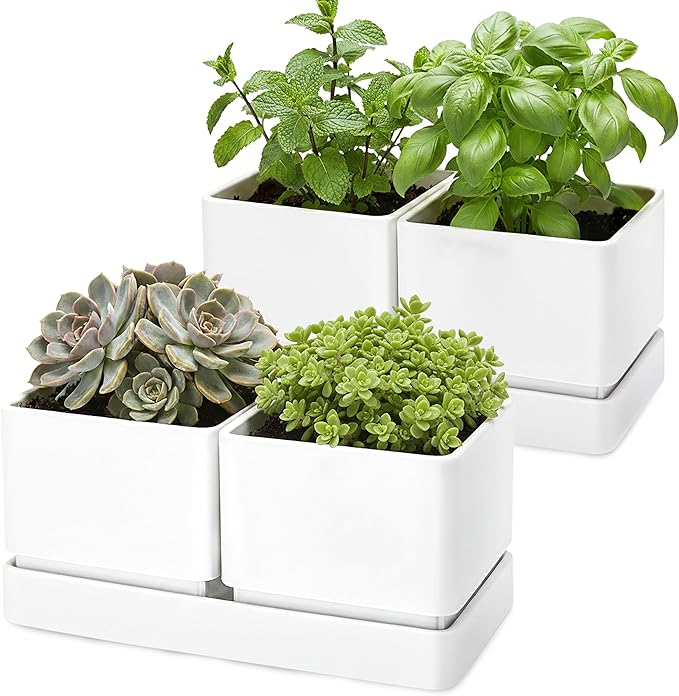 D'vine Dev Indoor Herb Garden Planter Set, Plastic Windowsill Plant Pots with Drainage and Saucer, Indoor Succulent Cactus Vegetable Pot for Balcony, Office, Garden, White, Set of 2, 76-Q-A-2