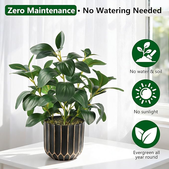 florisso Artificial Succulents & Fig Leaf Potted Decor - Faux Succulents with Fig Leaf Greenery in Black & Gold Plastic Planter (No Actual Figs) for Farmhouse, Bathroom, Bedroom & Office Decor