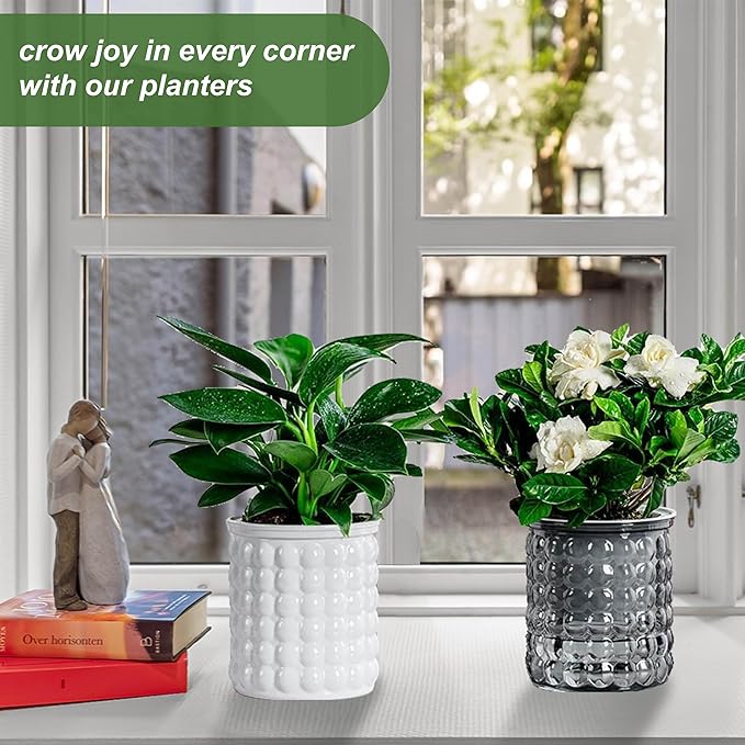 2PCS Self Watering Planters 4.7 Inch Self Watering Pots for Indoor Plants, African Violet Pots with Wick Rope, Flowers, Succulents, Herb, House Plants (Gray)