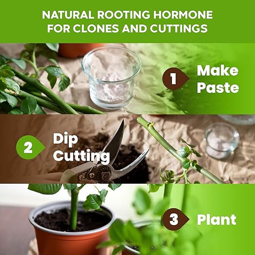 Big Foot Probiotic Root Boost Water Soluble Powder For Established Plants and Transplants - GROW ROOT SIZE, Increase Nitrogen, Grow New Plants from Cuttings, Pea Inoculant - 5 Ounces