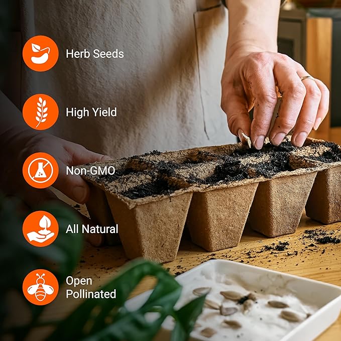 Open Seed Vault | 4,000 Heirloom Seeds | 12 Variety Pack of Herb Seeds | 2026 Season | Non GMO Vegetable and Fruit Seeds | Planting Outdoor & Indoor Garden | Gardening Starter Kit High Yield Produce