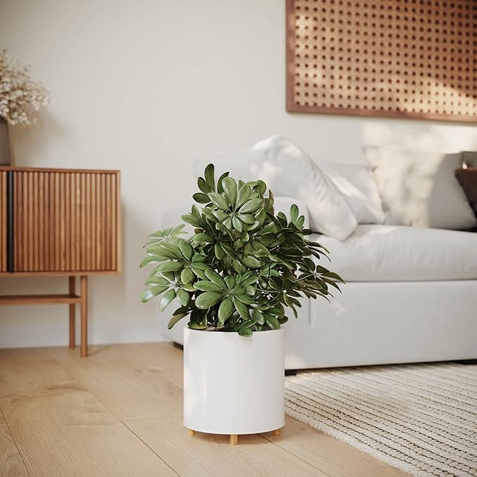 EverNest Raya White Minimalist Indoor Plant Pot with Peg Leg Stand, 10-Inch Plant Holder, SelectBase, Mid-Century Modern Plant Pot, Minimal Neutral Home Decor (Medium, 2 Gallon)