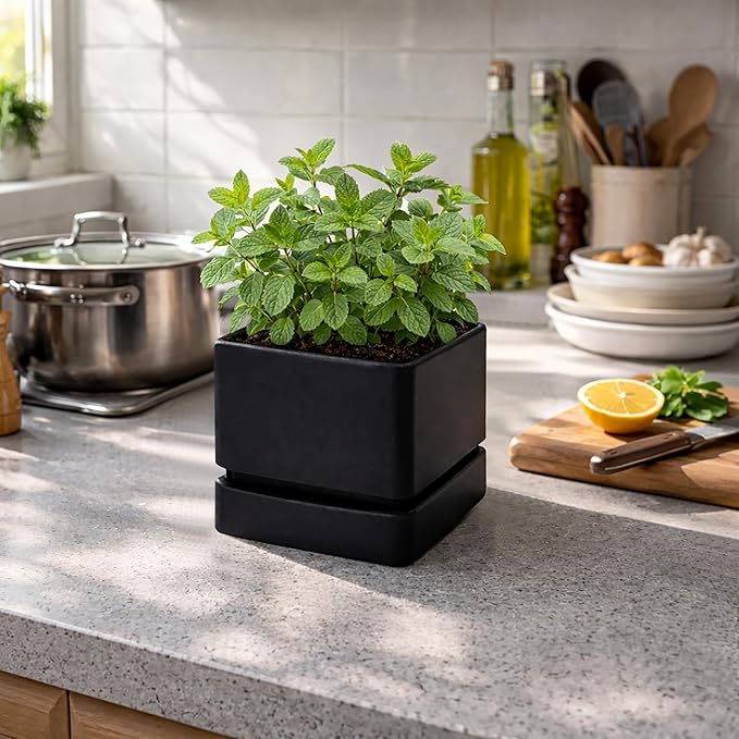 D'vine Dev 6 Inch Herb Planter Pot, Plastic Planter with Drainage Holes and Saucer, Modern Decorative Gardening Pot for Indoor Plants, Flowers, Herbs, Succulents, Black, Set of 4, 76-Y-B4-2