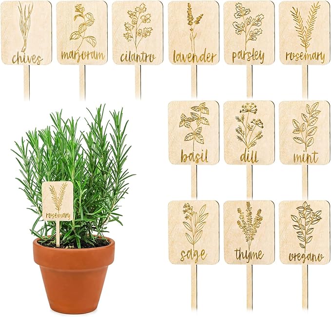 Whaline 24Pcs Wooden Plant Label Signs Planted Herb Garden Markers Plant Stake Tags with Herb Names for Indoor Outdoor Nursery Garden Decoration, 12 Styles