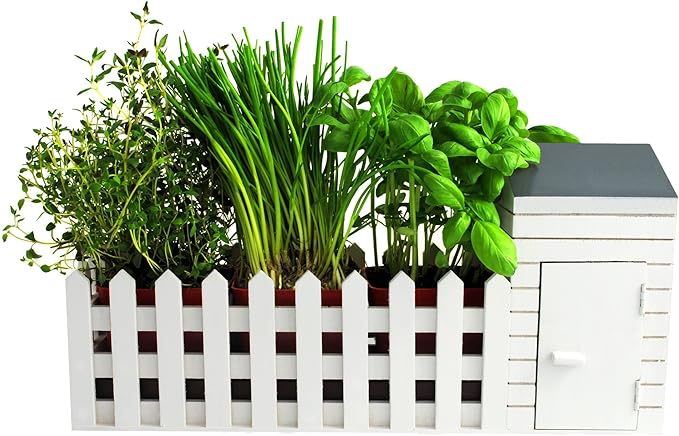 Oliphant Indoor Allotment Gift Set Herb Garden