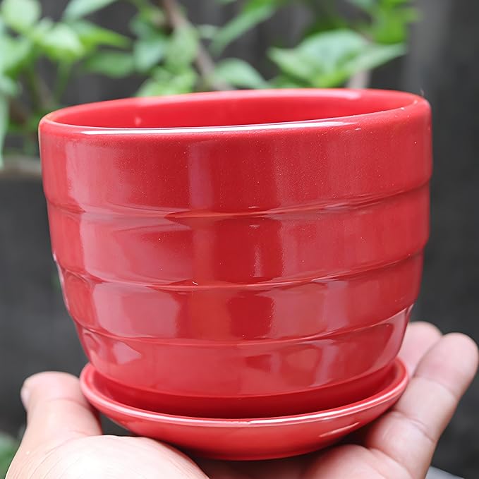 Cute Circular Ceramic Home Garden Decoration Succulent Cactus Flower Pots Container -Plant Not Included (White, 4.13 Inch)