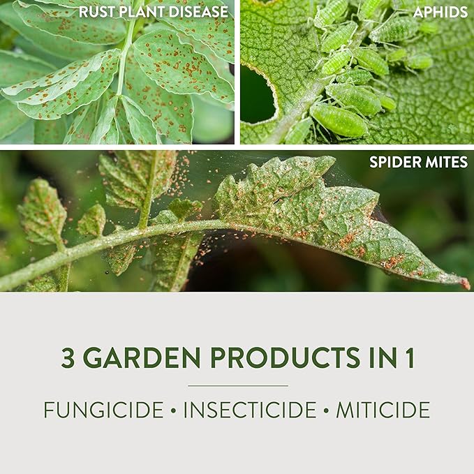 Garden Safe Brand Fungicide3, 1 Gallon, Fungicide, Insecticide and Miticide with Neem Oil Extract for Organic Gardening, Controls Black Spot, Rust, Aphids and Spider Mites