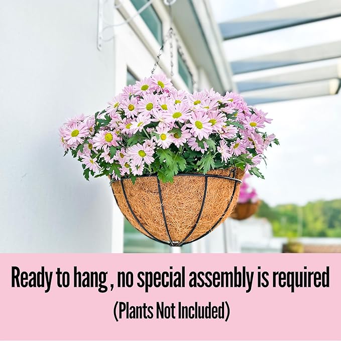 LaLaGreen Hanging Baskets for Plants (6 Pack, 10 Inch) Hanging Planter Outdoor with Coco Liner, Metal Wire Flower Basket Pots Holder Hanger Hook Deck Patio Porch Garden Balcony Outside Decoration