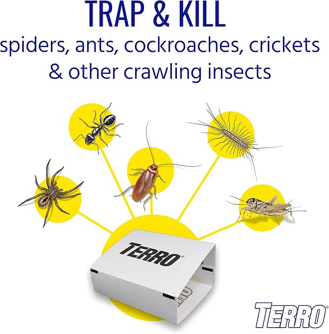 TERRO Spider & Insect Trap [T3206-10] Insect Traps,(Pack of 120)