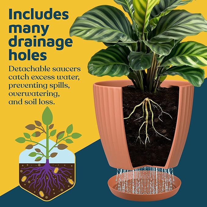 Terracotta 6-Inch Plant Pots with Drainage & Saucers 6 Pack, Indoor & Outdoor Planters for Houseplants, Herbs, and Flowers, Durable & Weatherproof Material, Stackable, Lightweight, Minimalist Design