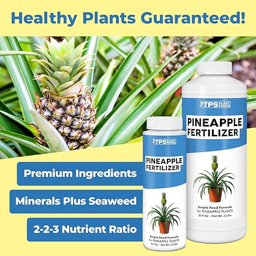 Pineapple Fertilizer – Liquid Plant Food for Bigger Fruit, Stronger Root Development & Healthy Tropical Growth, 32 oz