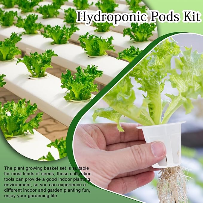 62 PCS Hydroponic Seed Growing System Hydroponic Growing Kit, 30 Hydroponics Plant Baskets and 30 Grow Sponges Pods, 2 Tweezers for Ourdoor Use and Garden Indoor