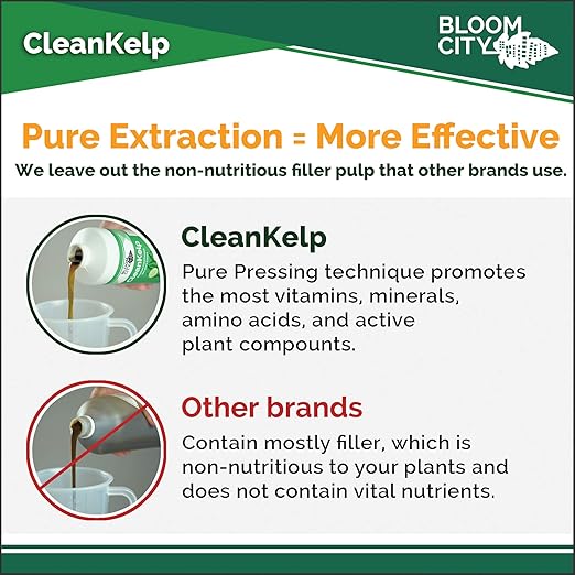 Bloom City Seaweed and Kelp Fertilizer – Liquid Seaweed Supplement for Stronger Roots, Faster Growth & Improved Stress Tolerance, 8 oz
