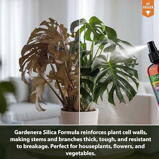 𝐒𝐔𝐏𝐄𝐑𝐈𝐎𝐑 Liquid Silica Boost Fertilizer and Supplement Spray for ZZ Plants – Pre-Mixed, Ready-to-Use Liquid Silicon Plant Superfood Mist for Indoor & Outdoor Plants – 8oz