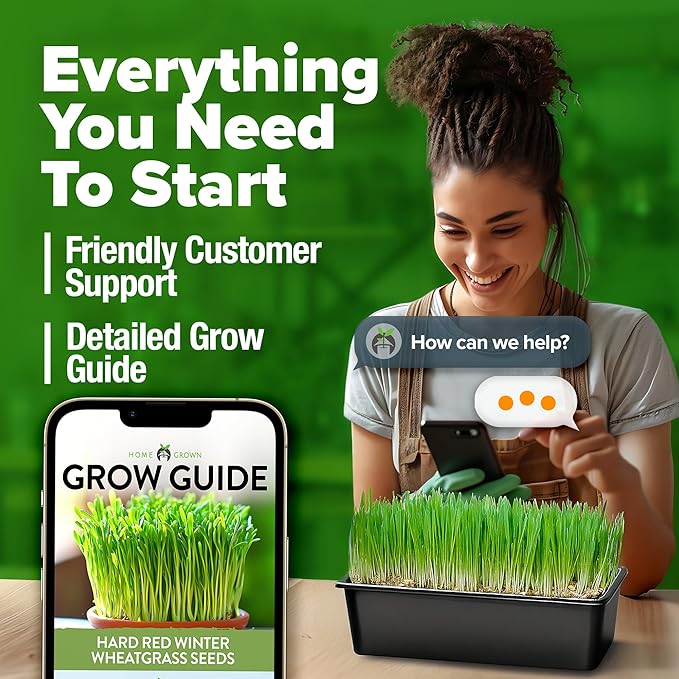 HOME GROWN Hard Red Winter Wheatgrass Seeds 12,000+ Bulk 1.5 lb Heirloom Non-GMO, Sprouting for Juicing, Healthy Smoothies, Pet Cat Grass, Microgreens, Indoor Garden (Triticum aestivum)
