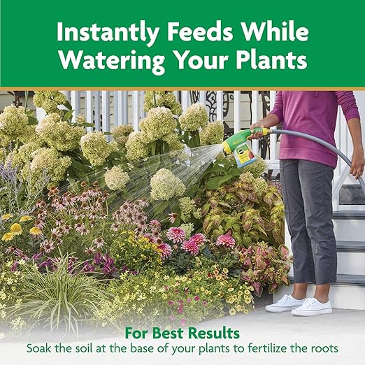 Miracle-Gro Water Soluble All Purpose Plant Food - Fertilizer For All Indoor or Outdoor Plants including Roses, Flowers, Vegetables, Houseplants, Trees, and Shrubs, 6.25 lbs.