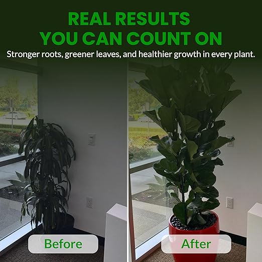 Humboldts Secret Everything Indoor Plant Food | 3-3-3 All Purpose Liquid Fertilizer with Norwegian Kelp | Supports Growth and Strong Roots | Nutrients for Houseplants & Indoor Plants | 32 Ounce