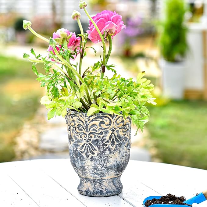 Sungmor 5.9 Inch Cement Plant Pot for Plants, Succulent Planter with Embossed Design, Vintage Concrete Flowerpots with Drainage Hole, Decorative Orchid Houseplant Pot Indoor Outdoor Plant Container
