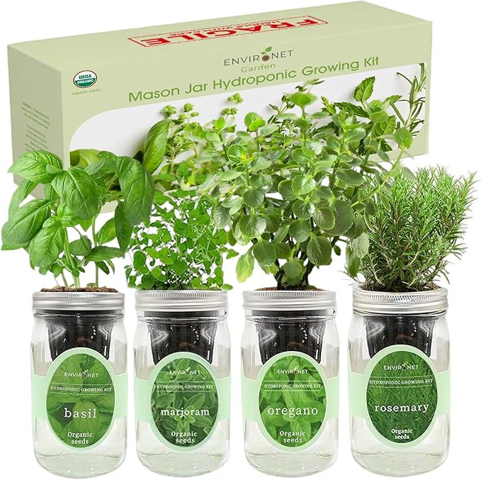 Hydroponic Mason Jar Indoor Garden Organic Seed Starter Kits - Italian Herb Blend Growing Kits, Windowsill Herb Garden, Gardening Gift (Basil, Marjoram, Oregano, Rosemary)