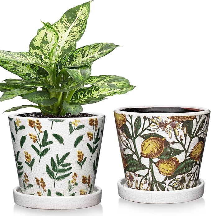 5.5 Inch Decorative Plant Pots, Round Ceramic Planters for Indoor Plants Pots with Drainage Hole Saucers, Lemon Green Leaves Ceramic Flower Pots Retro Planter Pot for Succulents Cactus Outdoor Garden