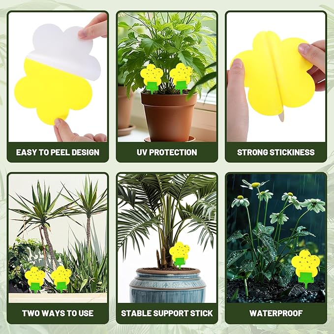 Qualirey 100 Pcs Yellow Flower Shaped Sticky Insect Traps Gnat Sticky Traps Double Sided Bug Killer Fruit Fly Fungus Gnat Catcher with Green Stakes for Indoor Outdoor Plants Kid Pet Safe