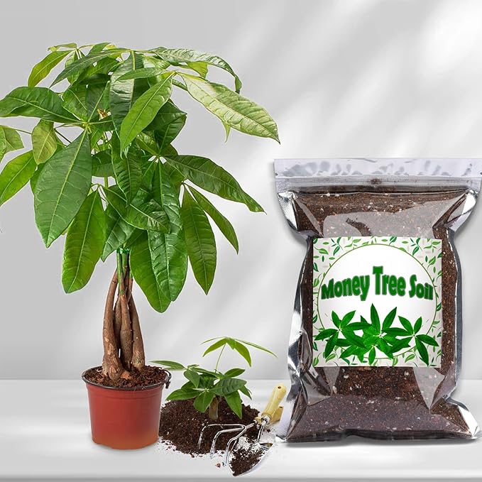 Doter Organic Money Tree Soil Mix 1qt, Indoor Plants Potting Mix for All Potted Money Tree, Grow Healthy houseplants Indoors