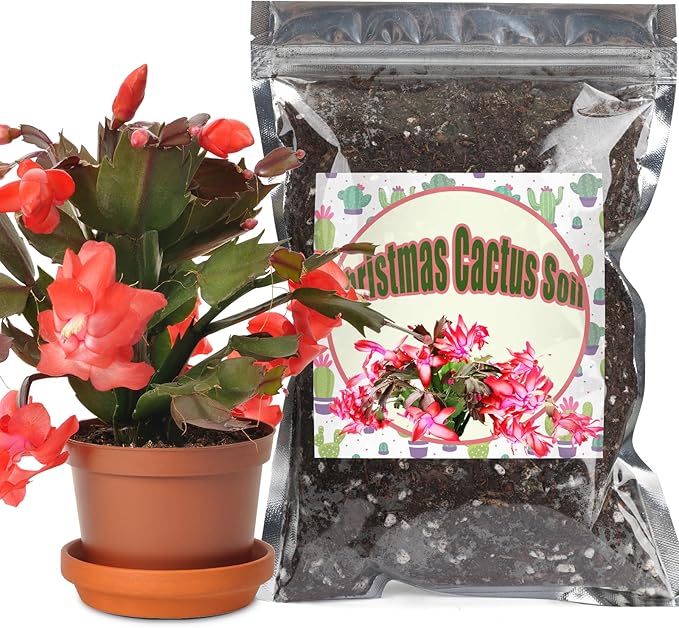 Doter Christmas Cactus Potting Soil Mix 2qt, Ideal for Succulents, Christmas Cacti, and Other Indoor Potted Plantings