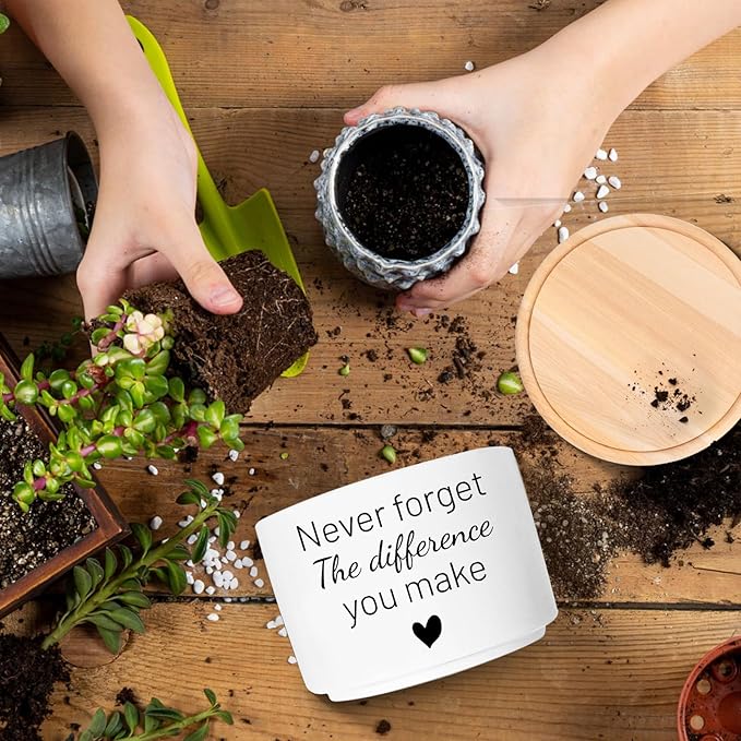 Funny Succulent Plant Pot, Thank You Gifts for Coworker Teacher, Cactus Flower Planter, Going Away Goodbye Appreciation Gifts for Women Men Friend Boss Manager (Plants Not Included)