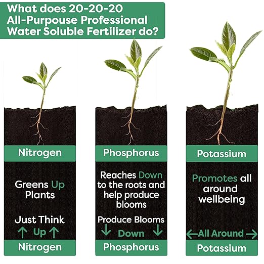 Gardenwise 20-20-20 Water-Soluble Fertilizer – Powder for Liquid Plant Food for Indoor & Outdoor Plants, Orchids, Vegetables, Lawns, Flowers – 20 20 20 Fertilizer (10 QUARTS)