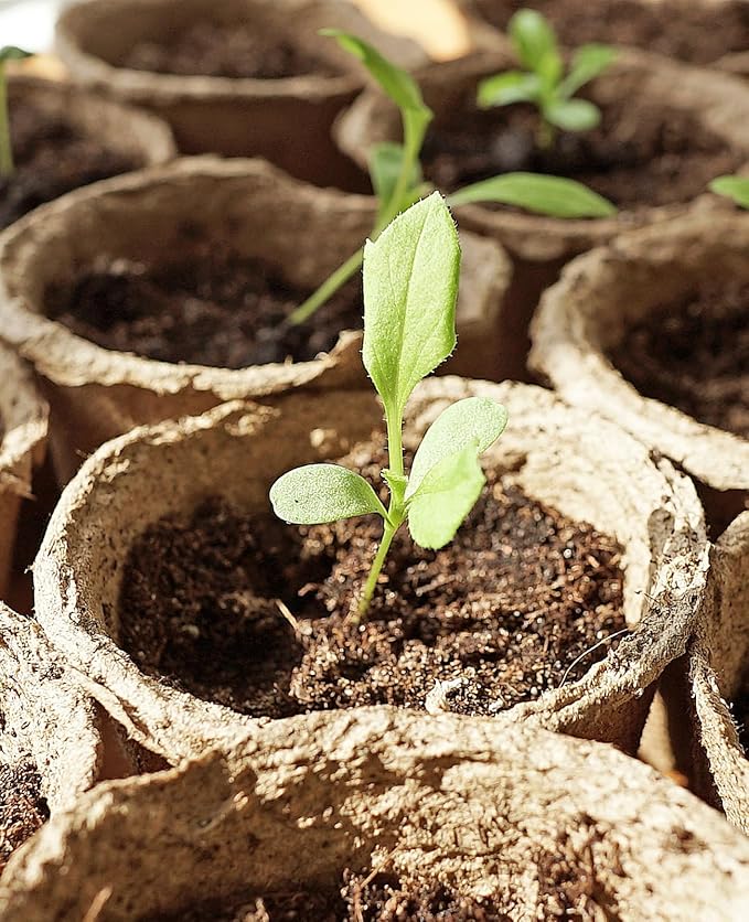 homenote Peat Pots, 30 Pcs 4 Inch Seed Starting Pots with Drainage Holes Round Nursery Plants Pots with Bonus 20 Plant Labels
