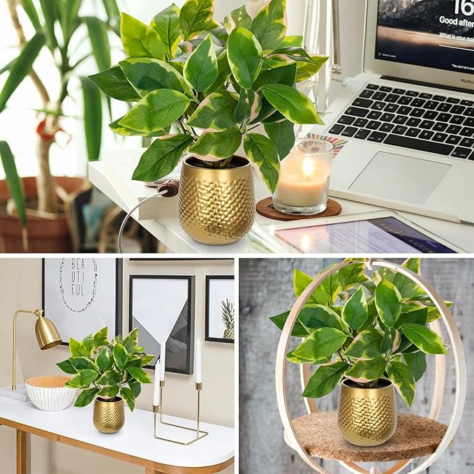 Oairse Articicial Plants Indoor Small Fake Plants in Pots Faux Pothos N‘ Joy Potted Plant Fake Indoor Plants with Gold Pots for Bathroom Living Room Office Desk Shelves