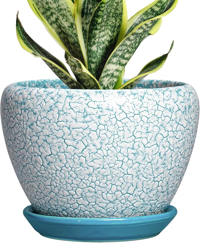 Ceramic Plant Pot - 6 Inch Indoor Planters for Succulent Plants, Round Decorative Flower Pot with Drainage Hole and Saucer, Small Plant Pots, Room Decor, Gifts for Gardeners, Crackle Blue