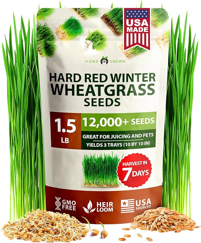 HOME GROWN Hard Red Winter Wheatgrass Seeds 12,000+ Bulk 1.5 lb Heirloom Non-GMO, Sprouting for Juicing, Healthy Smoothies, Pet Cat Grass, Microgreens, Indoor Garden (Triticum aestivum)