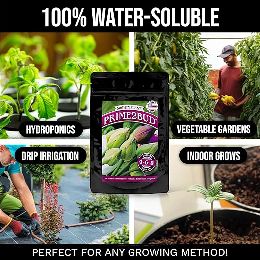 Flowering Bloom Booster Plant Enhancer – Arginine-Powered Growth Formula for Explosive Bloom & Fruit Set | Prime2Bud Ideal for Garden Flowers & Fruit-Bearing Vegetables (1, Pounds)